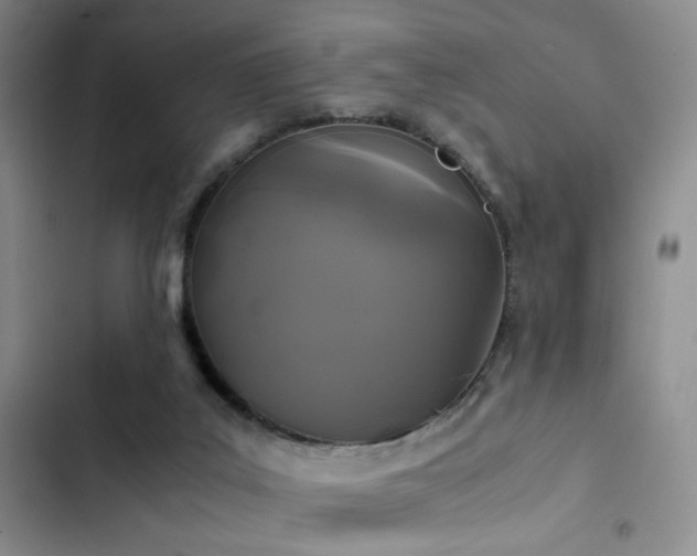 X0000103220019200808281418