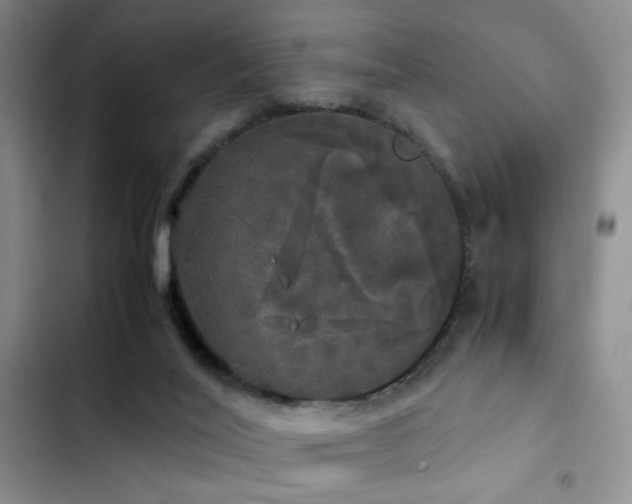 X0000103220020200808281418