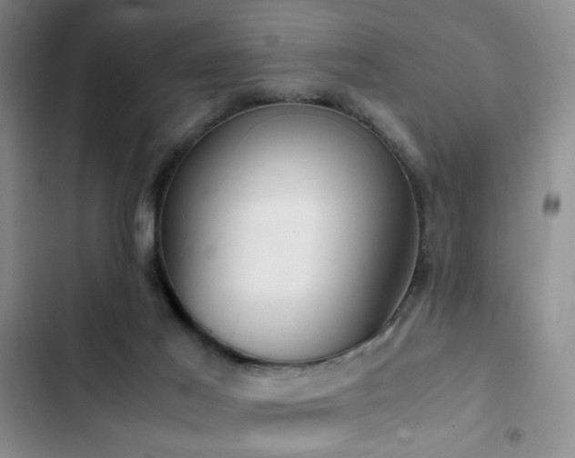 X0000103220021200808281418