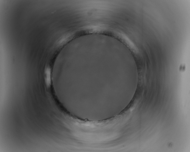 X0000103220022200808281418