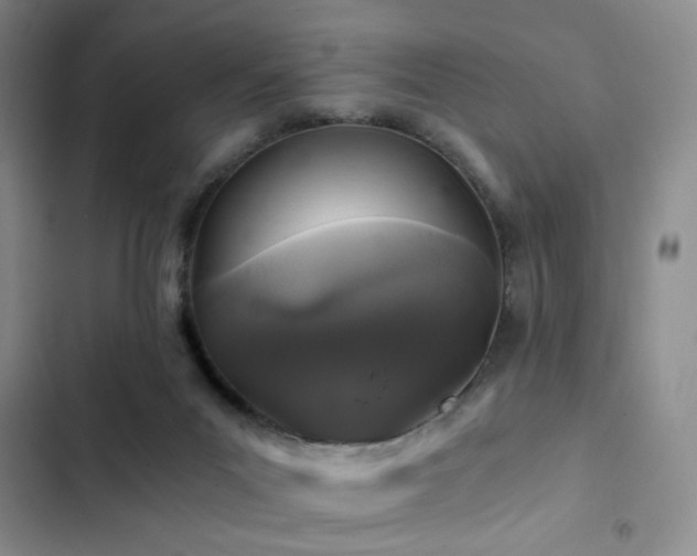 X0000103220023200808281418