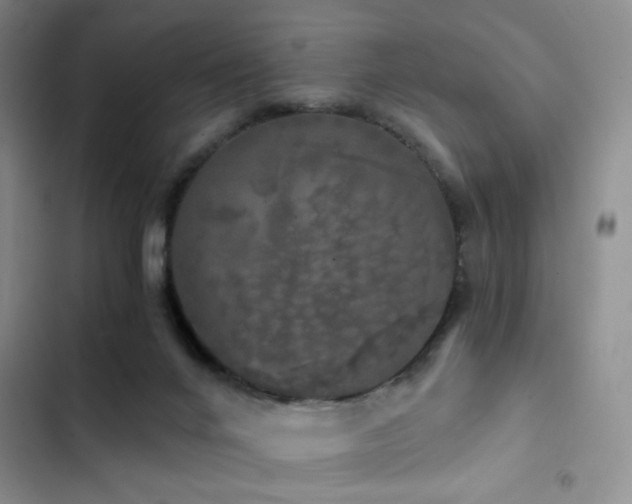 X0000103220024200808281418