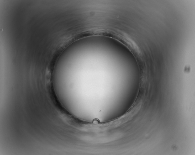 X0000103220025200808281418