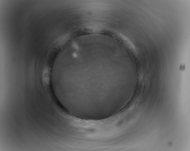 X0000103220026200808281418