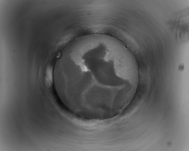 X0000103220028200808281418