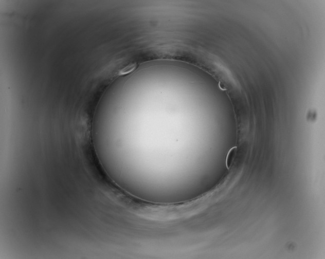 X0000103220029200808281418