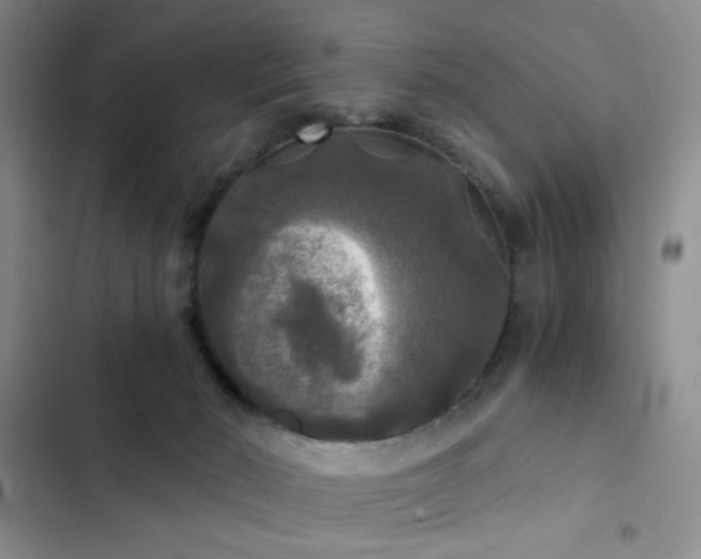 X0000103220030200808281418