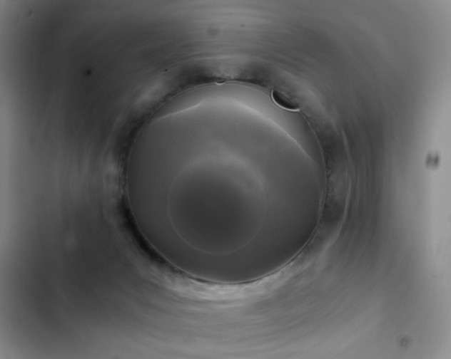 X0000103220031200808281418