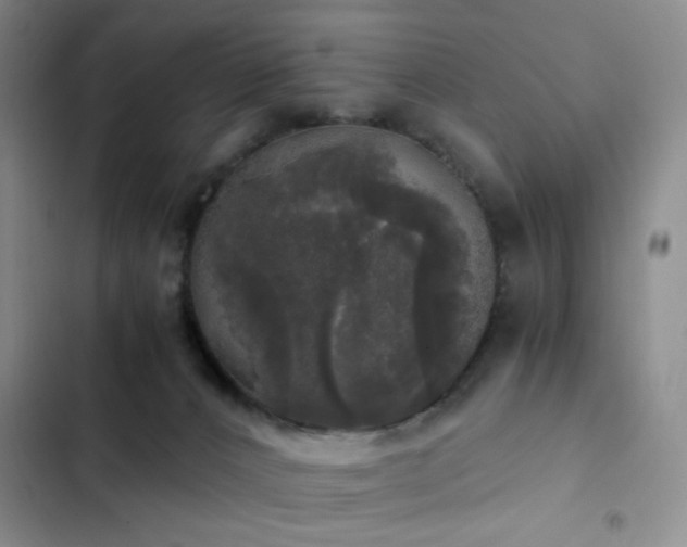 X0000103220032200808281418