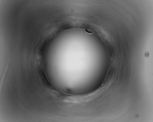 X0000103220033200808281418