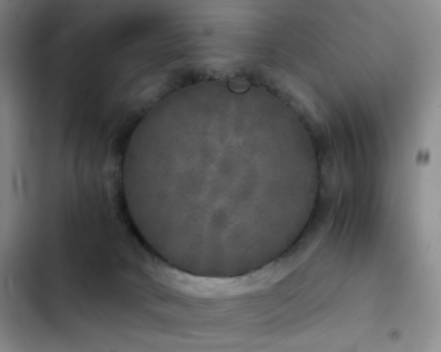 X0000103220034200808281418