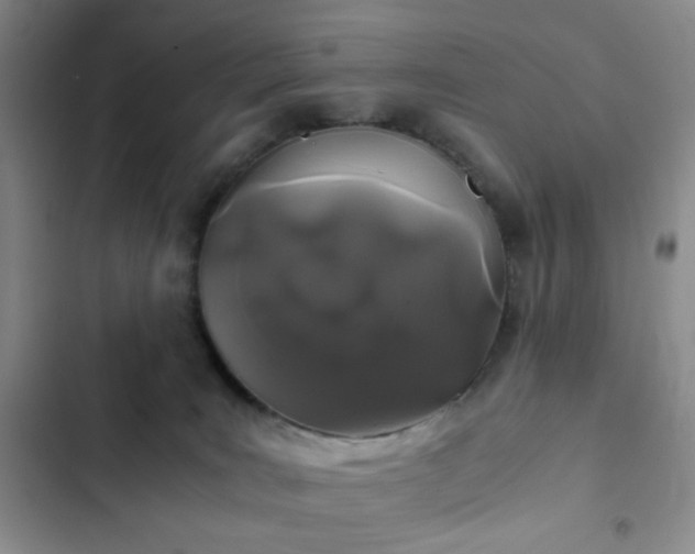 X0000103220035200808281418