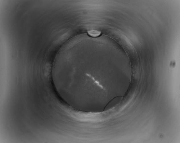 X0000103220036200808281418