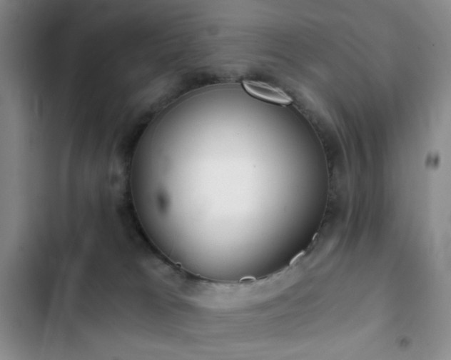 X0000103220037200808281418