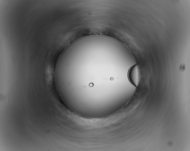 X0000103220038200808281418