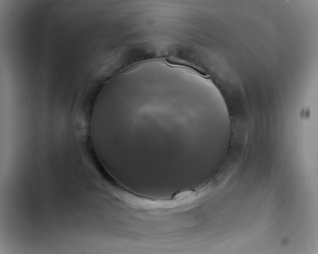 X0000103220039200808281418