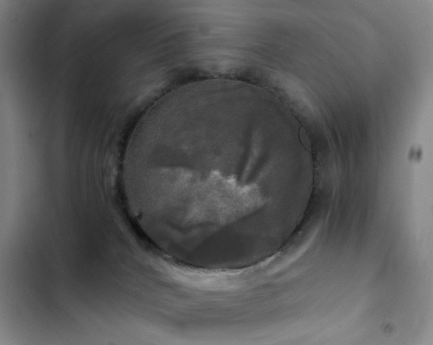 X0000103220040200808281418