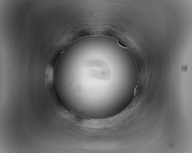 X0000103220041200808281418