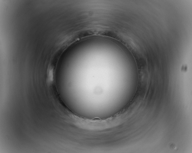 X0000103220042200808281418