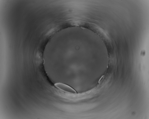 X0000103220043200808281418