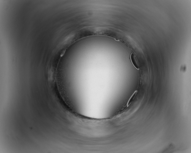 X0000103220044200808281418