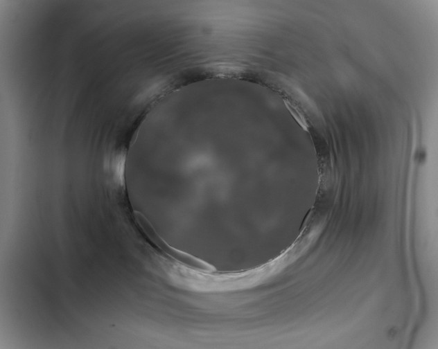 X0000103220047200808281418