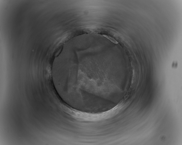 X0000103220048200808281418