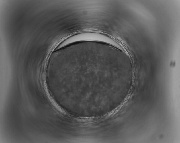 X0000103220049200808281417