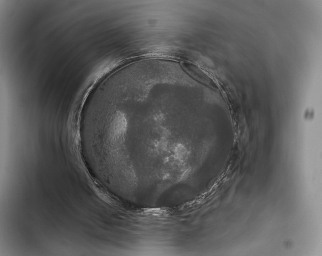 X0000103220050200808281417