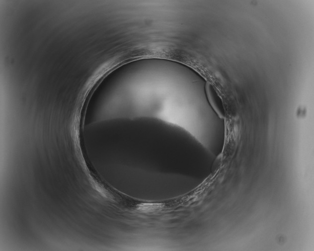 X0000103220051200808281417