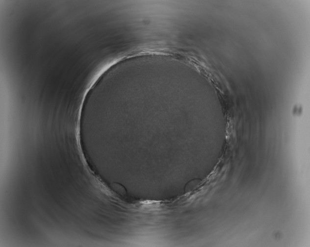 X0000103220052200808281417