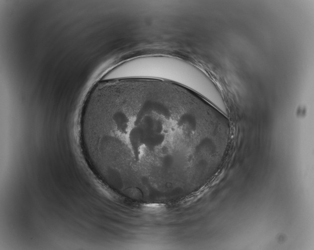 X0000103220053200808281417