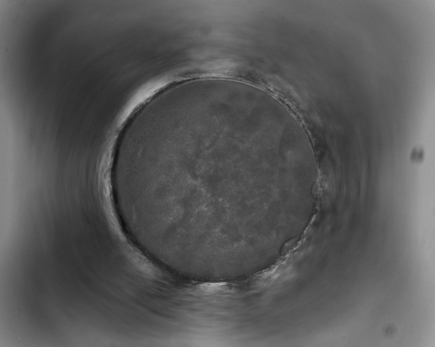 X0000103220054200808281417