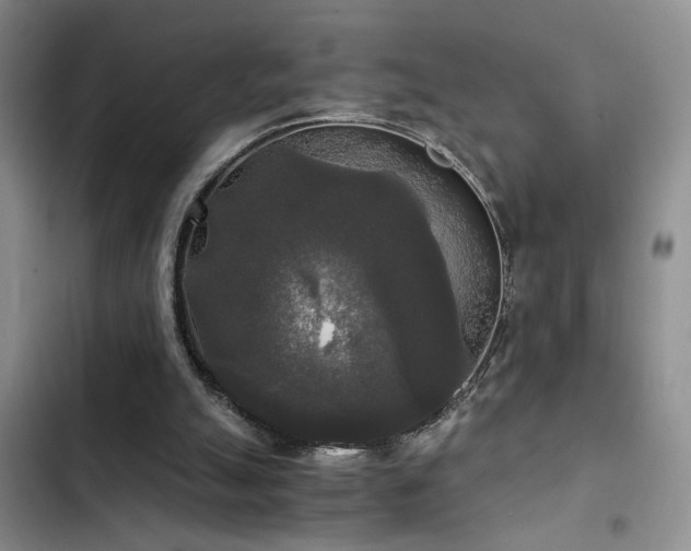 X0000103220055200808281417