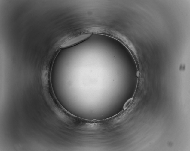 X0000103220057200808281417