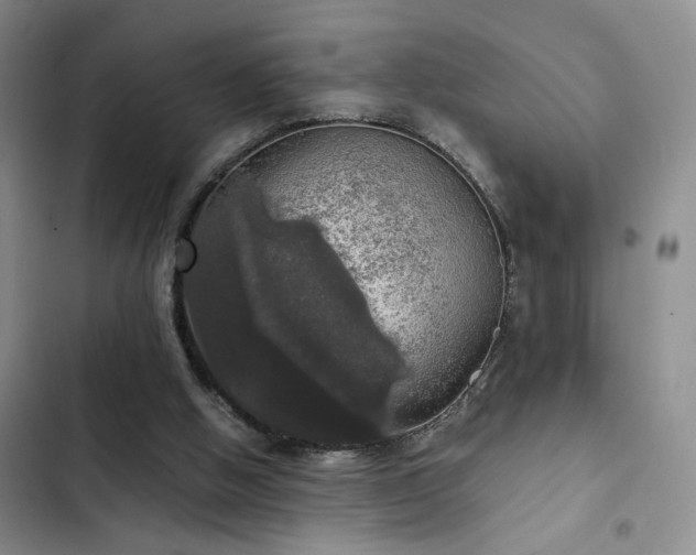 X0000103220058200808281417