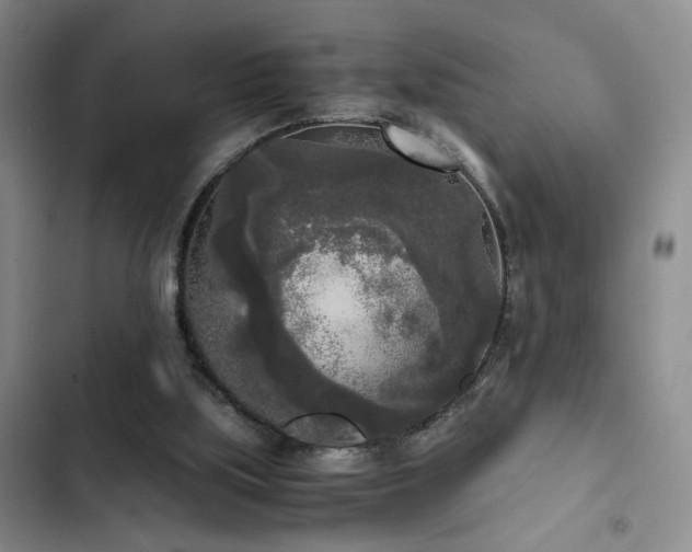 X0000103220059200808281417