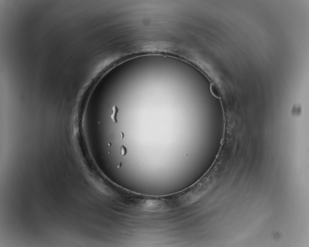 X0000103220060200808281417