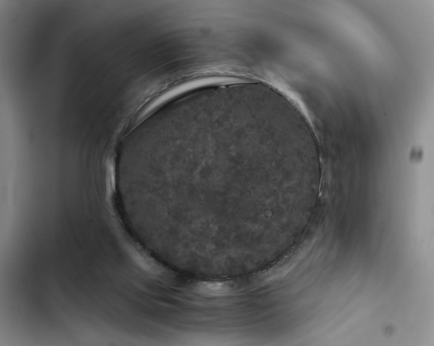 X0000103220061200808281417