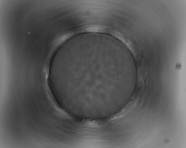 X0000103220062200808281417