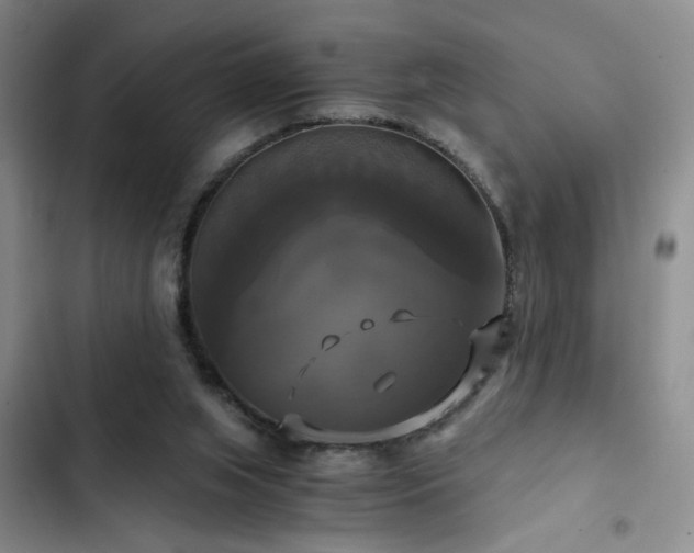 X0000103220063200808281417