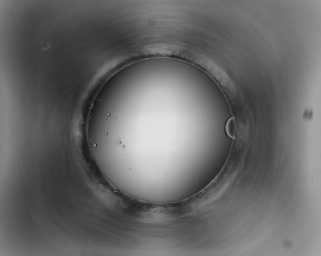 X0000103220064200808281417