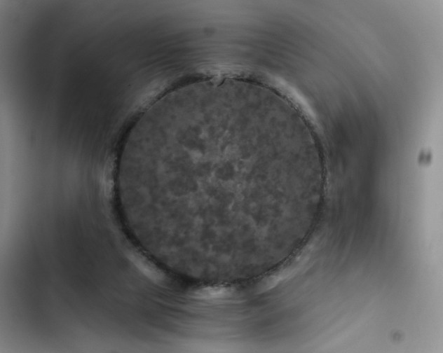 X0000103220065200808281417