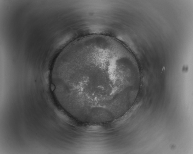 X0000103220066200808281417