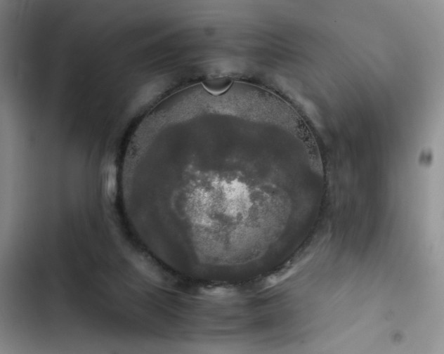 X0000103220067200808281417