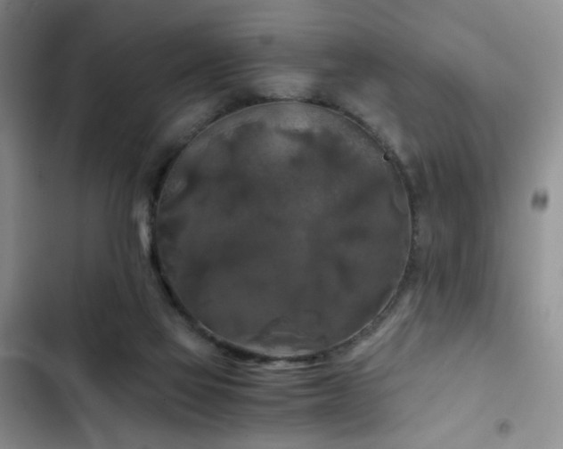 X0000103220069200808281417