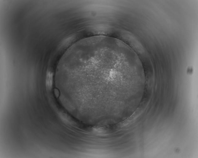 X0000103220070200808281417