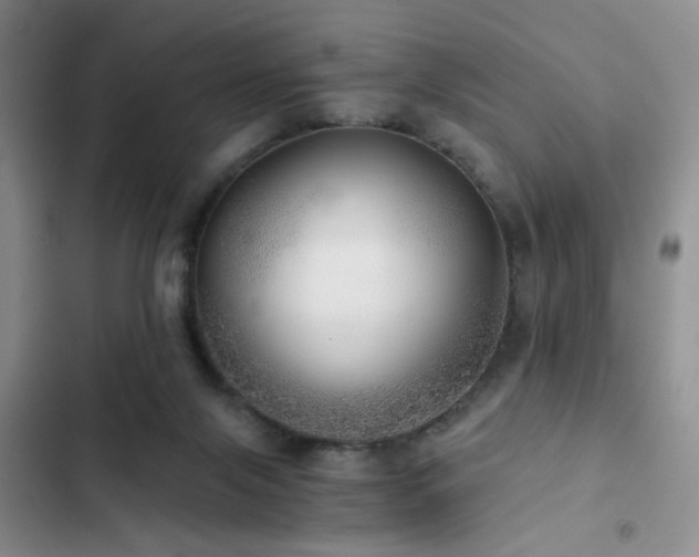 X0000103220071200808281417