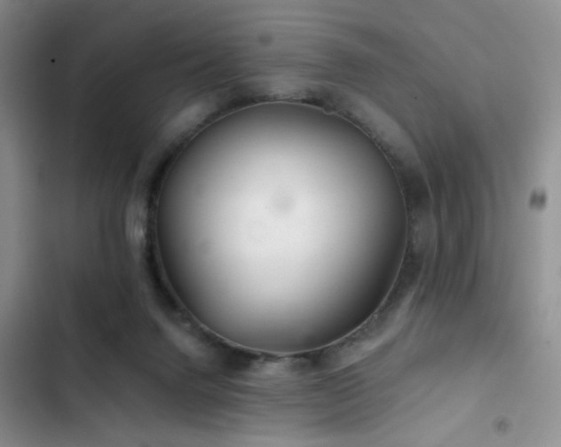 X0000103220072200808281417