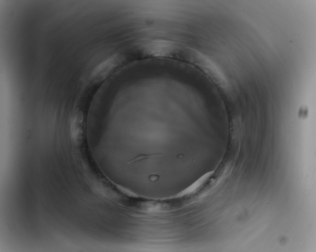 X0000103220073200808281417